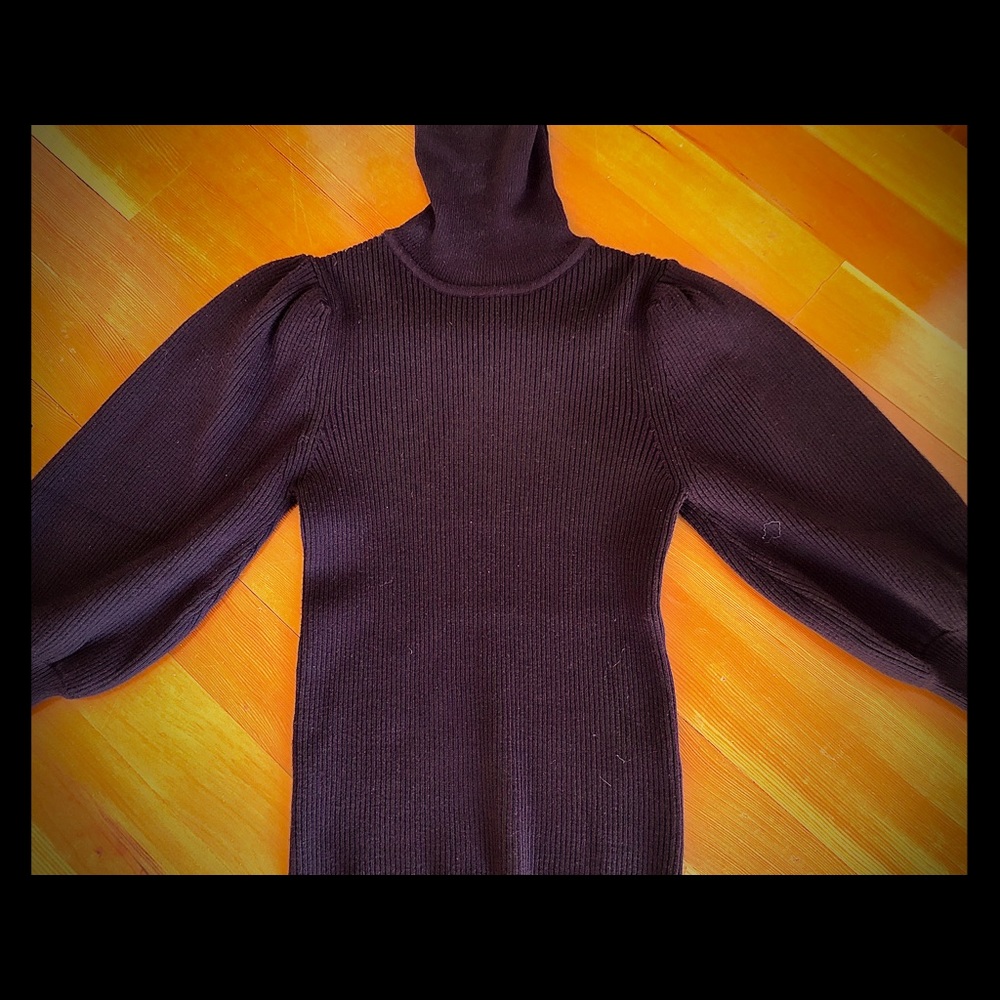 Zara turtle neck Sweater